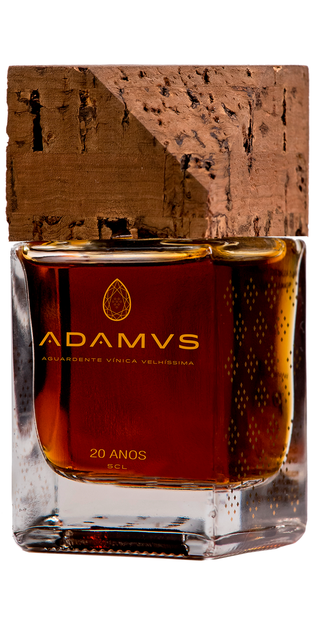 brandy adamus mignon