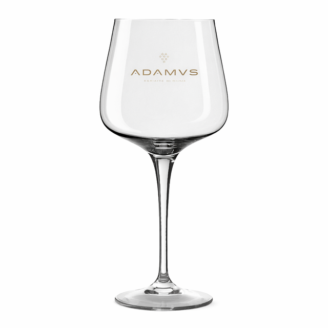 Bicchiere da Gin Adamus