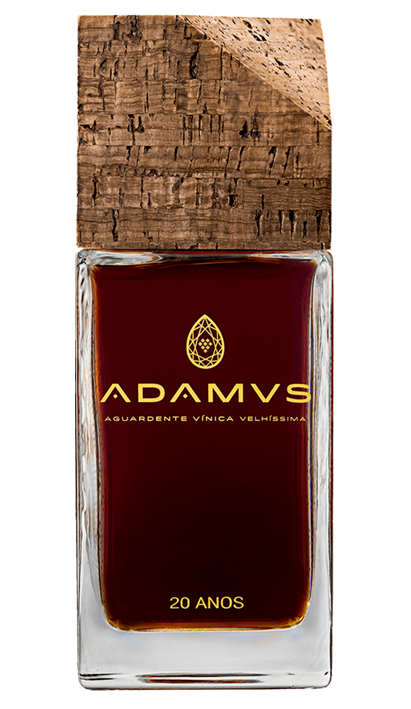 brandy adamus
